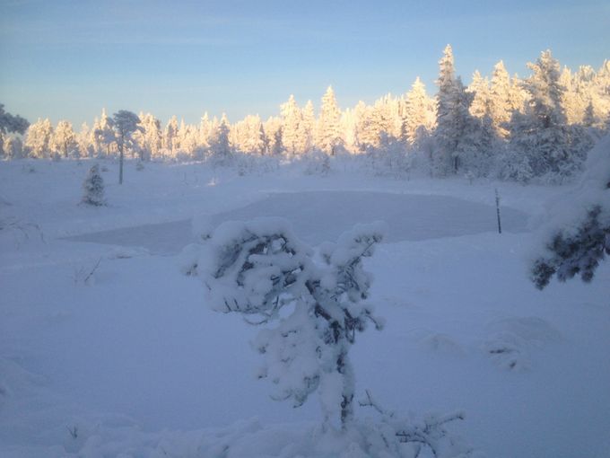 Knørraputten skøytebane 07.01.2016.