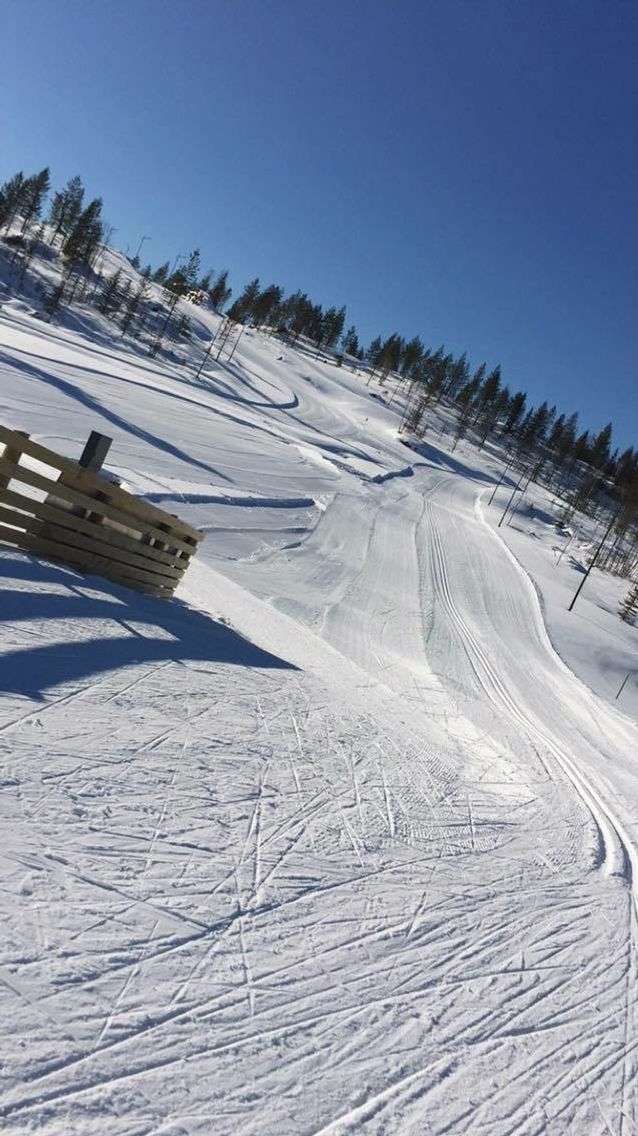 Lygna skisenter. Innkomsten