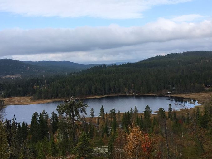 Lygnavannet sett fra Skarvåsen uke 39. Fotograf Hilde.